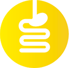 Lungenfunktions- diagnostik